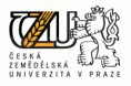 /album/loga-its-a-czu/czu-cz-cerna-zluta-900x600x72dpi-gif/